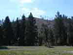 Copy of 385